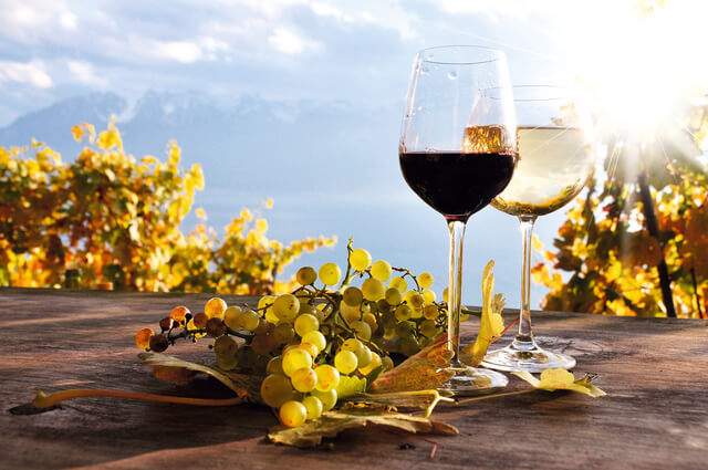 transport from Brisbane airport